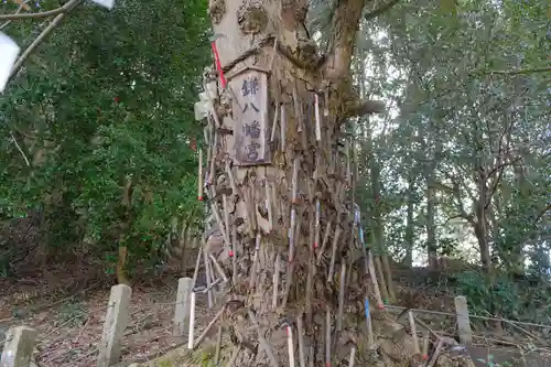 丹生酒殿神社の自然