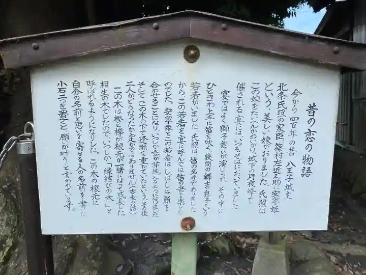 熊野神社(東京都)