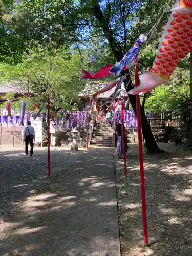 下野 星宮神社(栃木県)