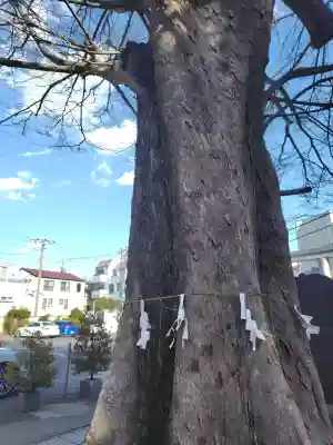 滝野川八幡神社の{uncategorized: "未分類", other: "その他", undefined: "問題あり", building: "その他建物", grave: "お墓", sacred_gate: "鳥居", guardian: "狛犬", statue: "像", buddha: "仏像", history: "歴史", nature: "自然", garden: "庭園", animal: "動物", pagoda: "塔", temizu: "手水舎", mountain_gate: "山門・神門", sanctuary: "本殿・本堂", subordinate: "末社・摂社", art: "芸術", scenery: "景色", jizo: "地蔵", ema: "絵馬", goshuin: "御朱印", omikuji: "おみくじ", items: "授与品その他", amulet: "お守り", goshuincho: "御朱印帳", eats: "食事", festival: "お祭り", votive_dance: "神楽", shichigosan: "七五三参", wedding: "結婚式", experience: "体験その他", initially: "初詣", around: "周辺", anti_infection: "感染症対策"}