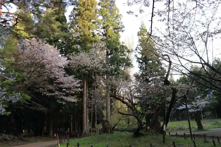 磐椅神社の自然