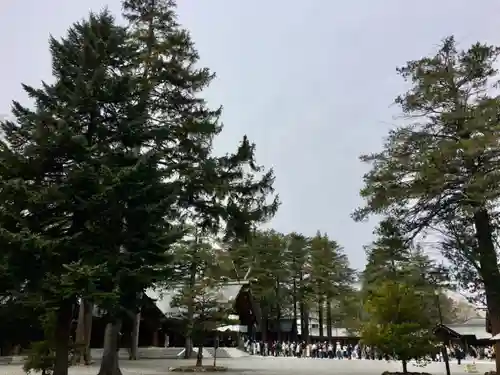 北海道神宮のその他建物