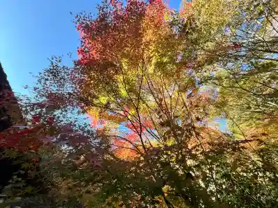 国宝 長寿寺(滋賀県)