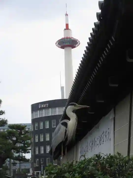 東本願寺(真宗本廟)のその他建物