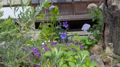 温譲寺(奈良県)