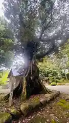 静志神社(福井県)