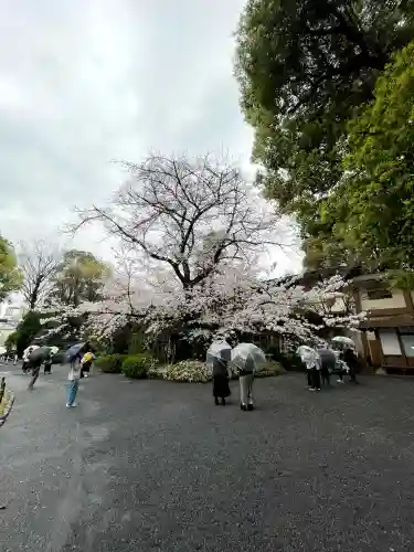 阿佐ヶ谷神明宮(東京都)