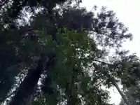 大宮温泉神社(栃木県)
