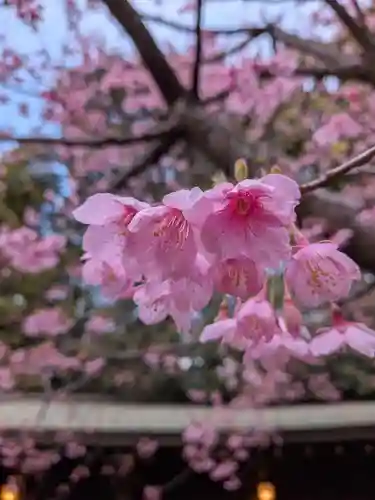 代々木八幡宮(東京都)