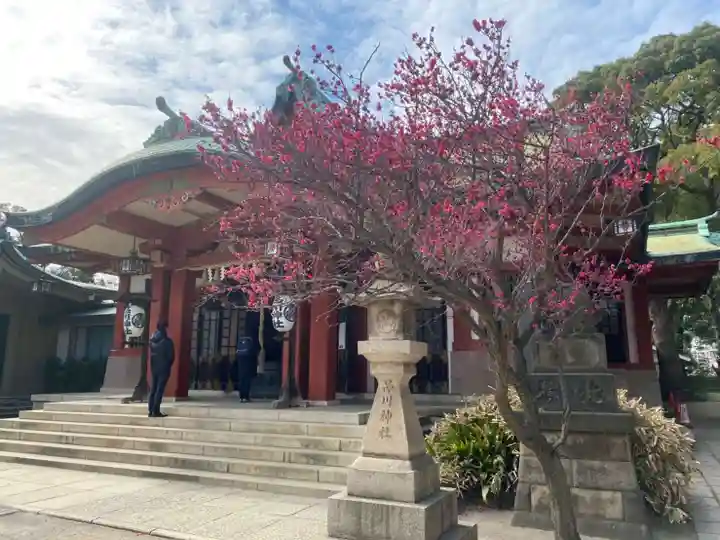 品川神社の自然