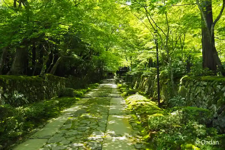 金剛輪寺(滋賀県)
