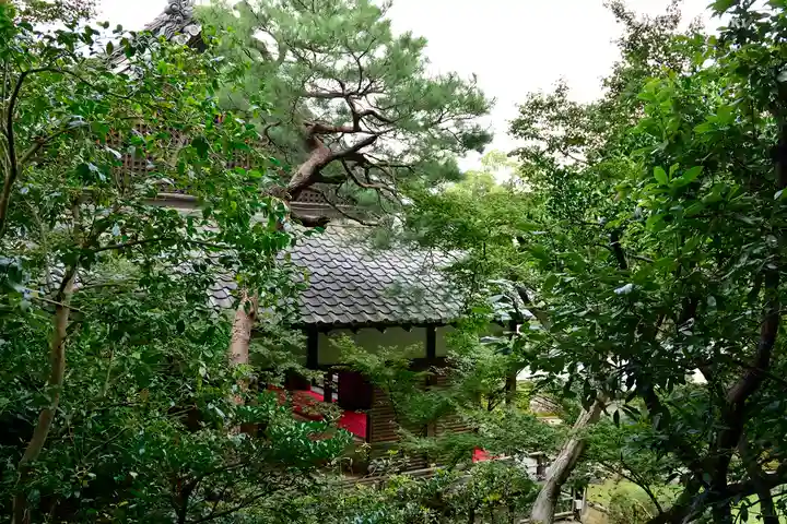 青蓮院門跡の自然