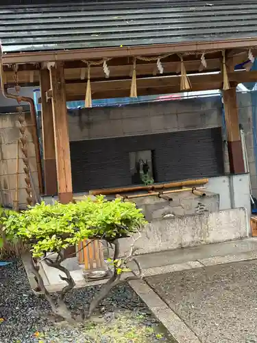 サムハラ神社の手水舎