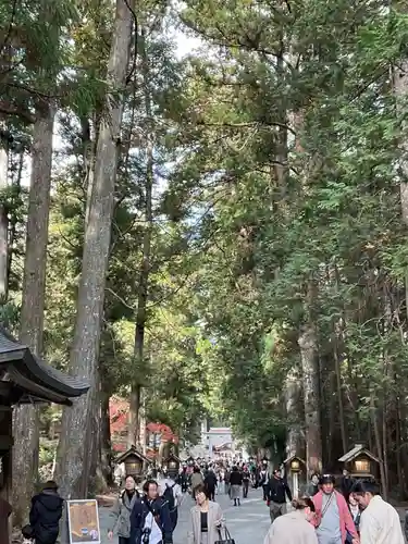 小國神社(静岡県)