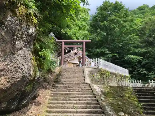 戸隠神社奥社の鳥居