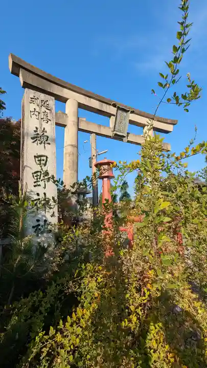 稗田野神社(薭田野神社)(京都府)