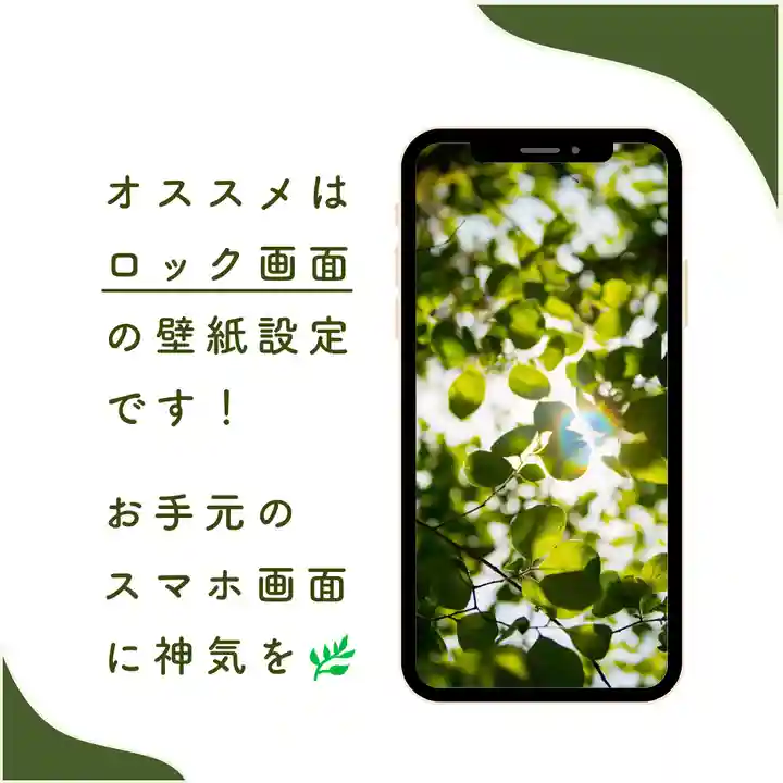 諫早神社(九州総守護 四面宮)(長崎県)