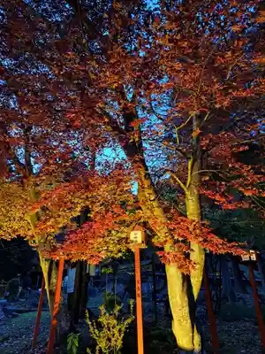 日吉大社(滋賀県)