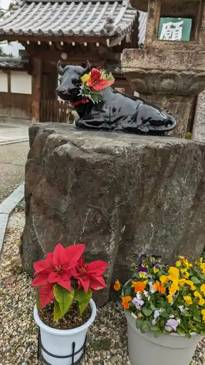 大松禅寺(京都府)