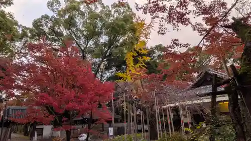 水無瀬神宮(大阪府)