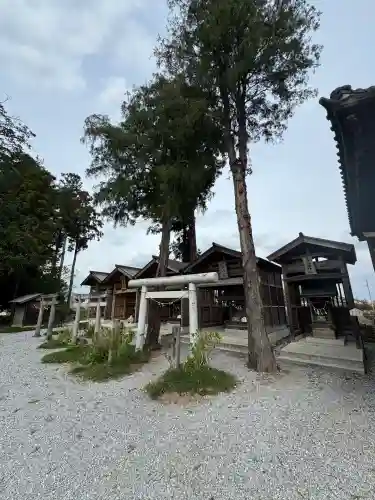 鷲宮神社の{uncategorized: "未分類", other: "その他", undefined: "問題あり", building: "その他建物", grave: "お墓", sacred_gate: "鳥居", guardian: "狛犬", statue: "像", buddha: "仏像", history: "歴史", nature: "自然", garden: "庭園", animal: "動物", pagoda: "塔", temizu: "手水舎", mountain_gate: "山門・神門", sanctuary: "本殿・本堂", subordinate: "末社・摂社", art: "芸術", scenery: "景色", jizo: "地蔵", ema: "絵馬", goshuin: "御朱印", omikuji: "おみくじ", items: "授与品その他", amulet: "お守り", goshuincho: "御朱印帳", eats: "食事", festival: "お祭り", votive_dance: "神楽", shichigosan: "七五三参", wedding: "結婚式", experience: "体験その他", initially: "初詣", around: "周辺", anti_infection: "感染症対策"}