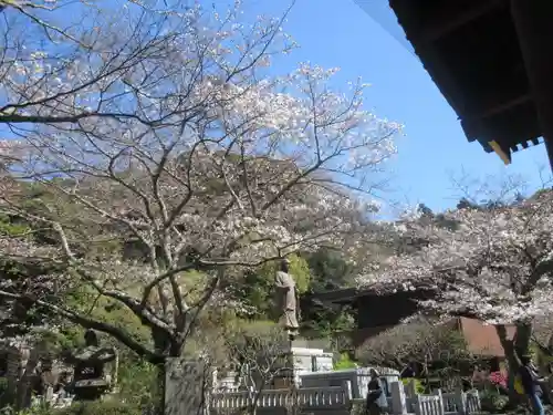 妙本寺の景色