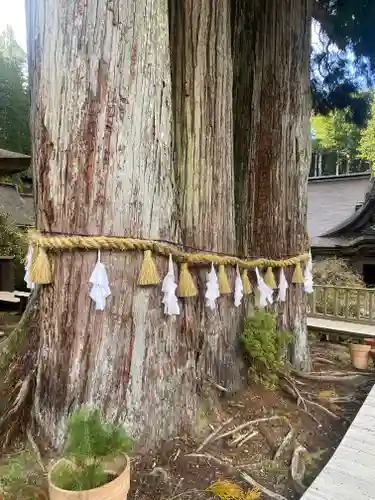 金剛三昧院(和歌山県)