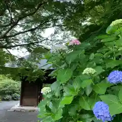 普門寺(切り絵御朱印発祥の寺)の自然