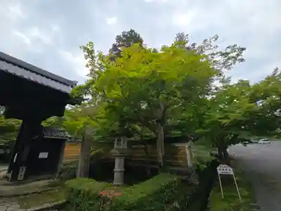 金剛輪寺(滋賀県)