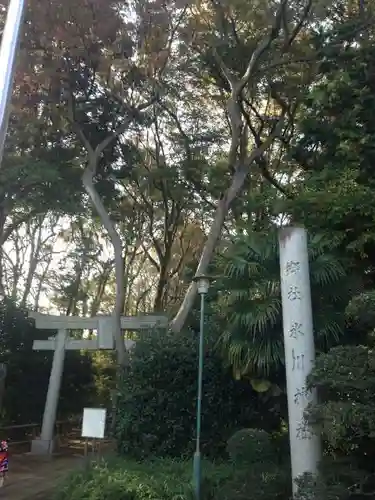 喜多見氷川神社の鳥居