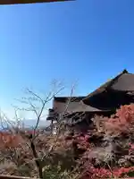 清水寺(京都府)