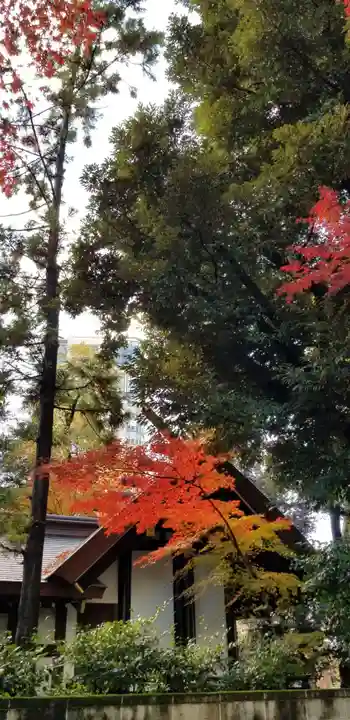 愛宕神社の本殿・本堂