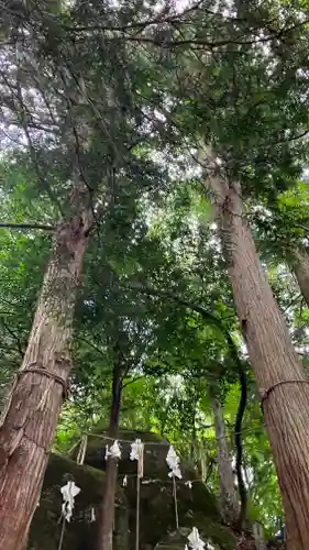 須我神社の末社