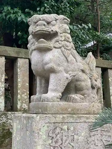 稲取八幡神社の狛犬