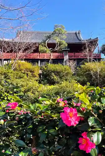 清水観音堂の本殿・本堂