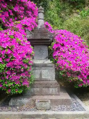 安養院　(田代寺）の塔