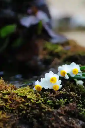 浄土寺(兵庫県)