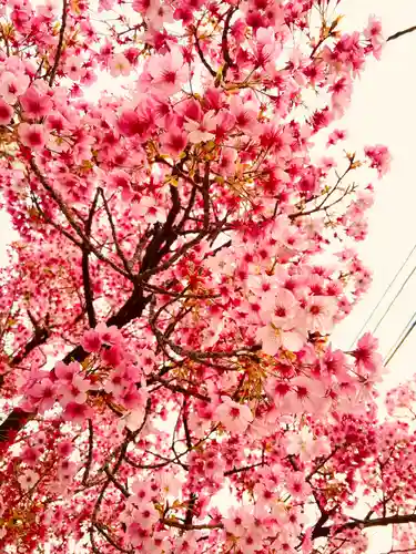 上野東照宮(東京都)