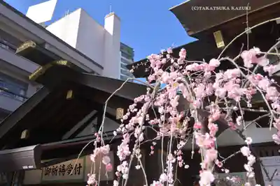 東京大神宮(東京都)