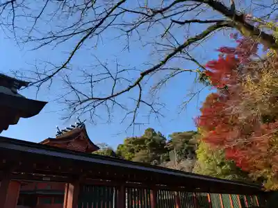 富士山本宮浅間大社(静岡県)