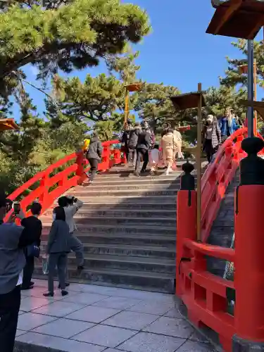 住吉大社の{uncategorized: "未分類", other: "その他", undefined: "問題あり", building: "その他建物", grave: "お墓", sacred_gate: "鳥居", guardian: "狛犬", statue: "像", buddha: "仏像", history: "歴史", nature: "自然", garden: "庭園", animal: "動物", pagoda: "塔", temizu: "手水舎", mountain_gate: "山門・神門", sanctuary: "本殿・本堂", subordinate: "末社・摂社", art: "芸術", scenery: "景色", jizo: "地蔵", ema: "絵馬", goshuin: "御朱印", omikuji: "おみくじ", items: "授与品その他", amulet: "お守り", goshuincho: "御朱印帳", eats: "食事", festival: "お祭り", votive_dance: "神楽", shichigosan: "七五三参", wedding: "結婚式", experience: "体験その他", initially: "初詣", around: "周辺", anti_infection: "感染症対策"}