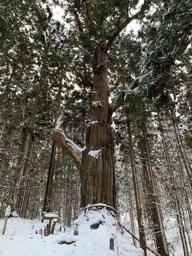 志和稲荷神社の自然