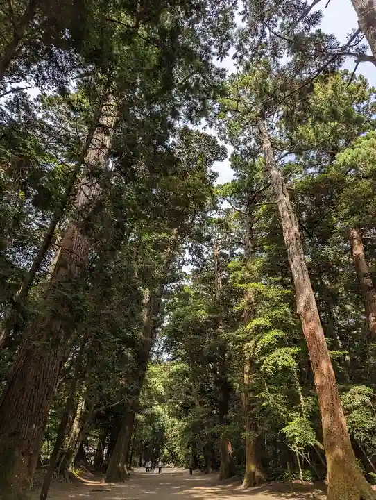 鹿島神宮(茨城県)