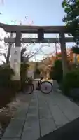 鳩森八幡神社の鳥居
