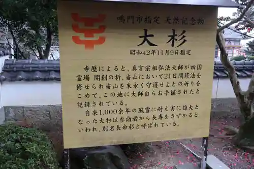 極楽寺(徳島県)