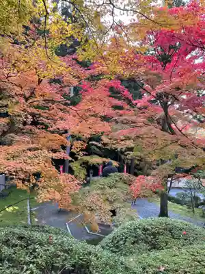 今熊野観音寺(京都府)