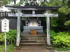 稲毛浅間神社の鳥居