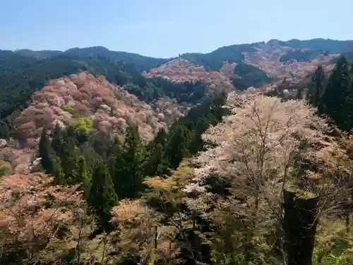 吉水神社の景色