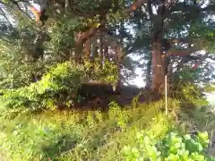 水神社の建物その他