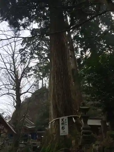 英彦山豊前坊高住神社の御朱印